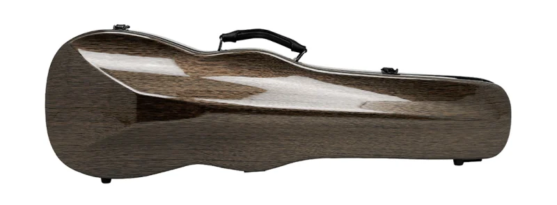 Violin case